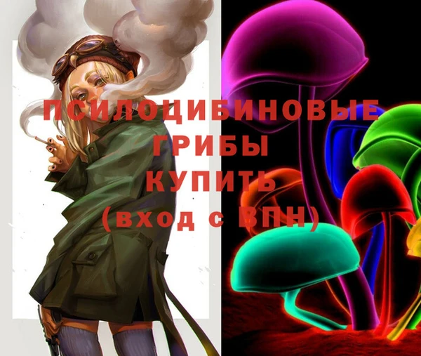 mix Богородицк